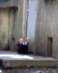 b0009106_23185367.jpg