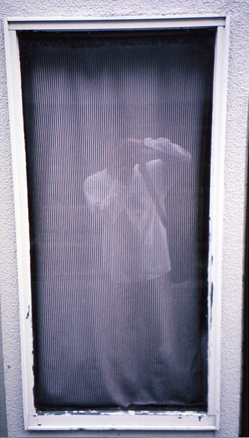 e0002323_230374.jpg