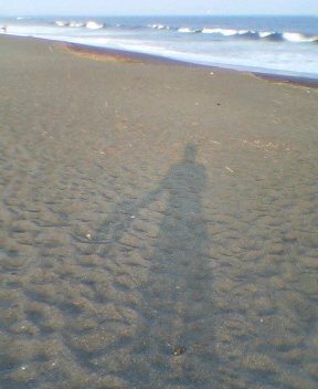 湘南の夏_c0048132_2055741.jpg