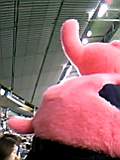 b0006537_1223170.jpg
