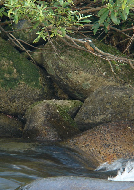 b0039170_21271287.jpg