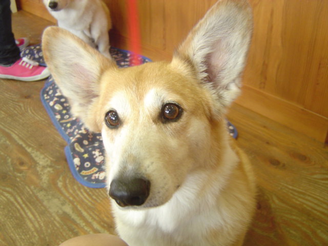 c0075585_034839.jpg
