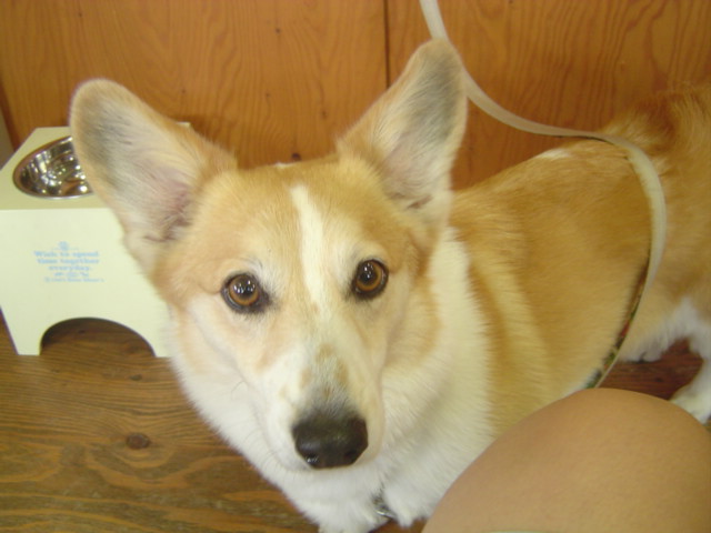 c0075585_035651.jpg