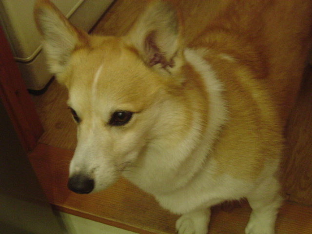 c0075585_0371589.jpg