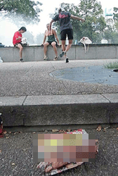 a0004993_2140514.gif
