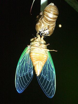 c0024552_1324482.jpg