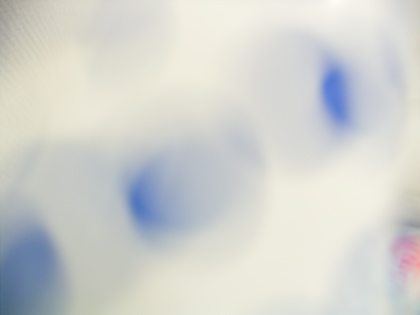 d0049553_07999.jpg