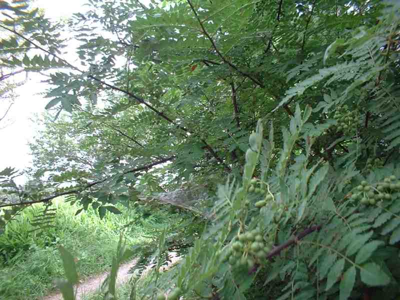 a0011690_1843878.jpg