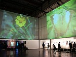 d0012252_1834172.jpg
