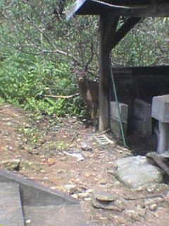 c0039875_18553526.jpg