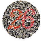b0062579_20124422.gif