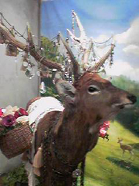 b0059000_1321536.jpg