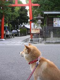 久々、川遊び三昧~♪_c0049950_2143812.jpg