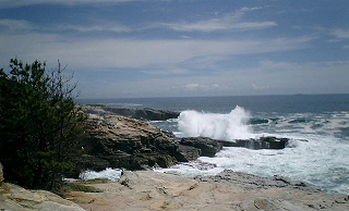 d0006756_1902745.jpg