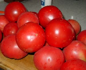 e0031456_13281789.jpg