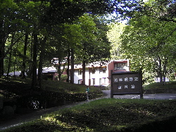 サボリ娘の居場所_d0028589_20464823.jpg