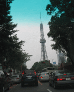 d0014408_11505033.gif