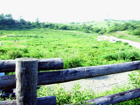 d0066822_13552563.gif