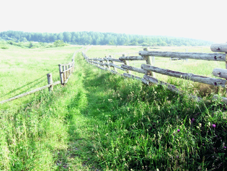 d0066822_1356522.gif