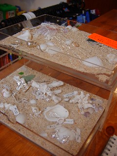 e0016135_18445077.jpg