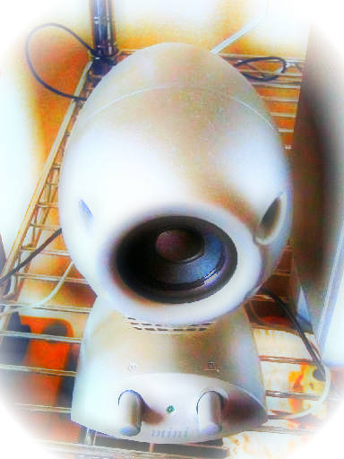 c0032138_17482063.jpg