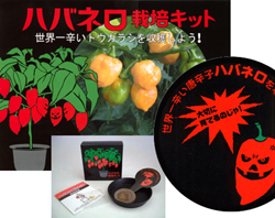 暴君ハバネロ栽培キット ねじまき鳥は深夜にねじをまく 暴君ハバネロ栽培キット ねじまき鳥は深夜にねじをまく