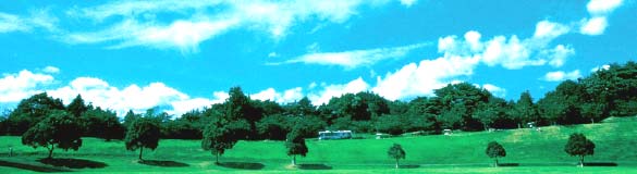 c0002547_1432871.jpg