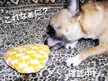 c0019050_2253660.gif