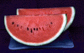 e0028056_23342838.gif