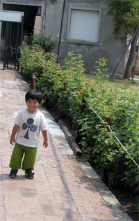 c0072971_1144088.gif