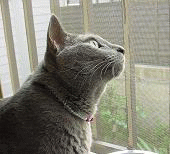 c0066610_18365547.gif