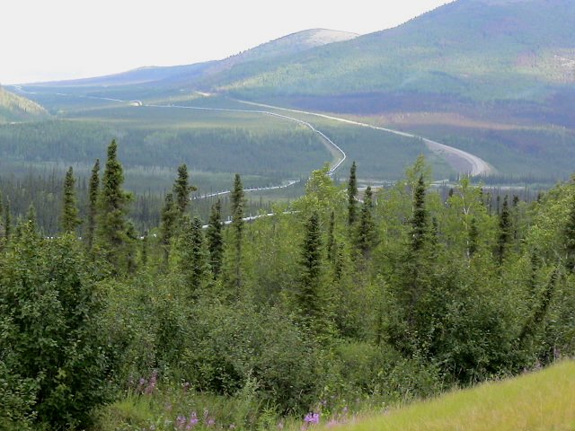 e0003910_12275675.jpg