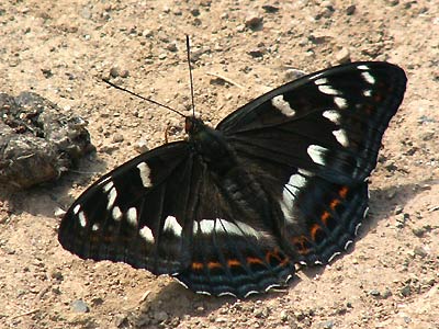 b0033112_18553045.jpg