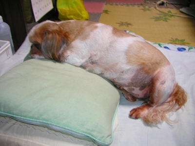 b0000813_13492785.jpg