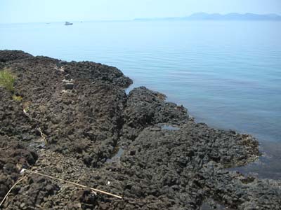 HTB帰国 7月16日～17日(5)　【カヤック無人島上陸】_c0059521_22463857.jpg