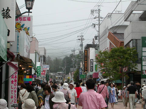 7月23日・今日の軽井沢・曇り時々霧・気温19℃、少し肌寒い一日です。_d0046531_15422045.jpg