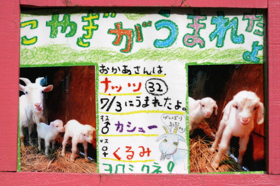 母を見つめる瞳_b0016600_0431663.jpg