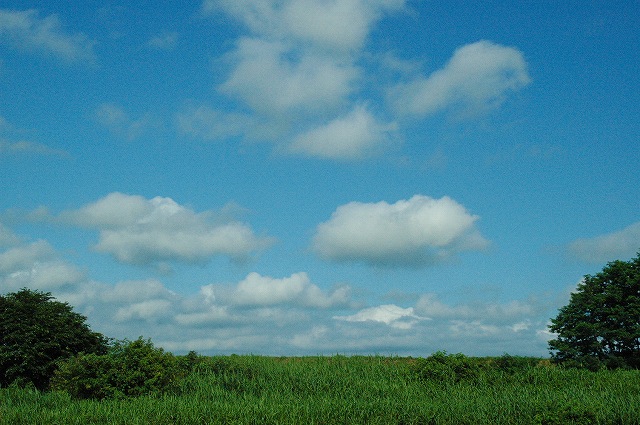 The anniversary of my grandmom is death_a0037810_20222416.jpg