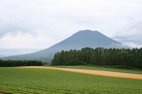 e0001123_044072.jpg
