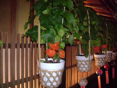 c0047860_0074.jpg