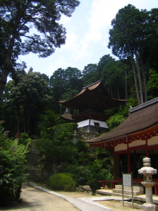 今日は_d0047811_21351382.jpg