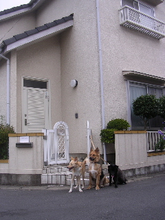 c0065643_95586.jpg