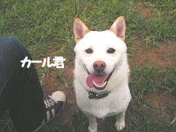 e0000946_1235131.jpg