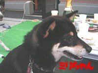 e0000946_151851.jpg