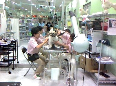 c0043751_102362.jpg