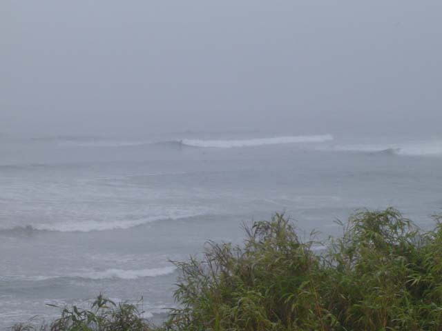 b0034087_16384584.jpg