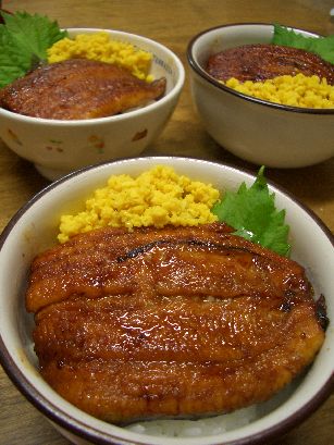 鰻丼　と　炒り卵丼_c0004493_1958849.jpg