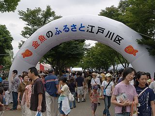 夏の風物詩、金魚祭り_c0017199_1345012.jpg