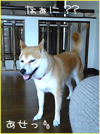 c0060620_34576.jpg