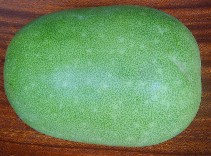 e0016135_05924.jpg